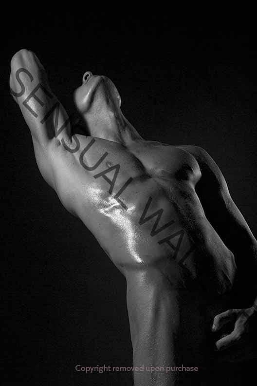 sensual male nude black and white poster